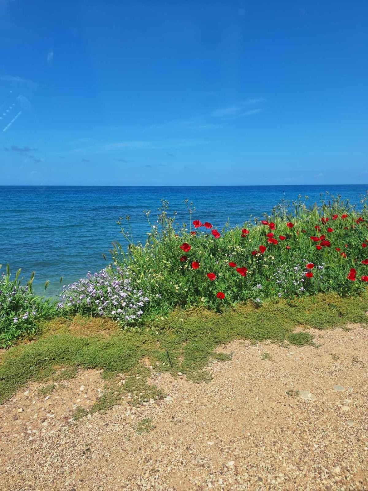 Ariadne Studio Kyparissia Exterior photo